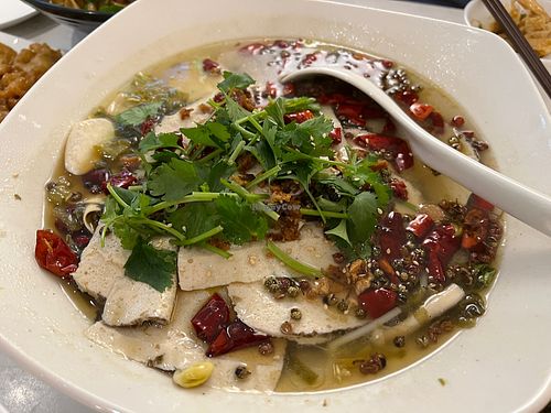 Sauerkraut fish 10/10 !  at Green on Earth 绿之天地 in West Singapore