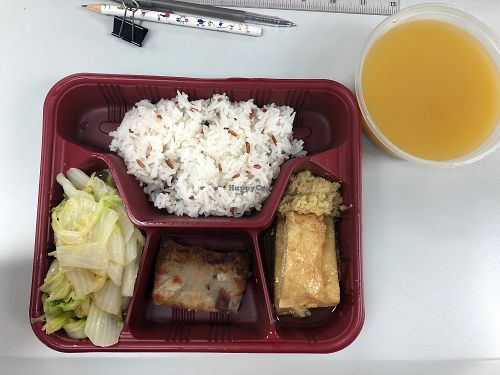 Lunch box set (red and white rice, veggie, pan-fried taro cake, steamed veg duck (aka bean curd) at Good Nuts in New Territories