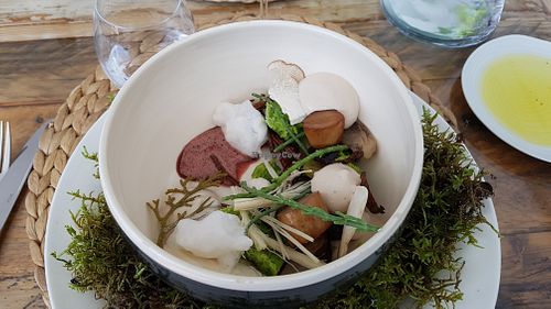 Mushrooms and many other things at ONA in Ares