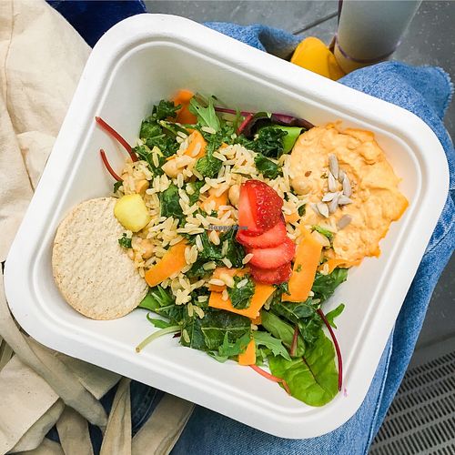 brown rice salad to go at Picnic in Glasgow
