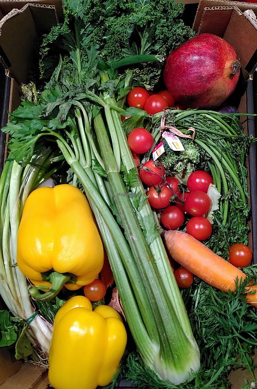  at Basic - Rheinstr in Munich