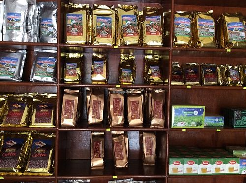 Organic coffee at Fishtail Organic Garden in Pokhara