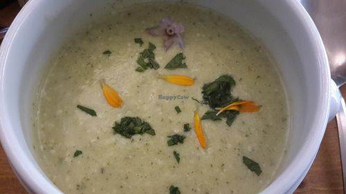 Good soup at La Vege Table in Reims