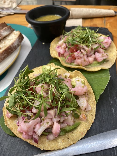Tostadas Aguamarina at Aura Vegana in Mexico City