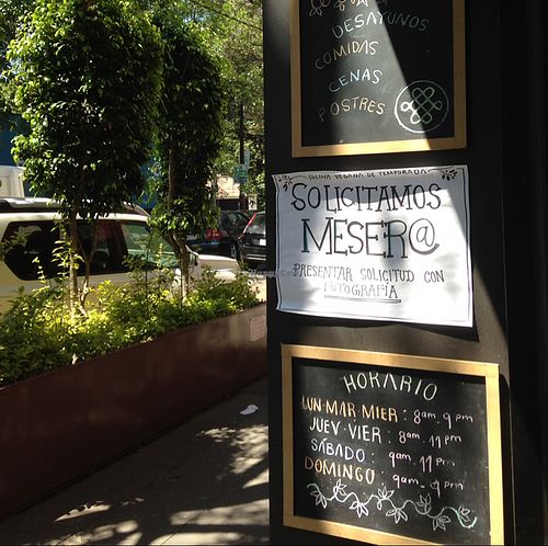 cute street  at Aura Vegana in Mexico City