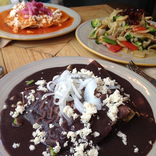 the enveganadas and a sautéed veg dish  at Aura Vegana in Mexico City