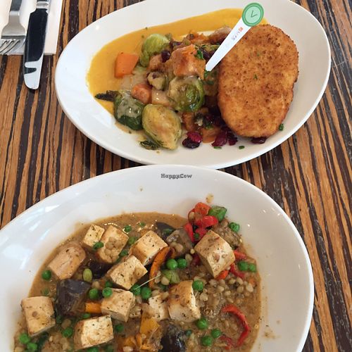 Thai red curry and Unfried scallopini at LYFE Kitchen - Gold Coast in Chicago