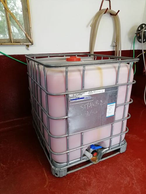 Wine tour at Cairn o'Mohr Winery in Errol