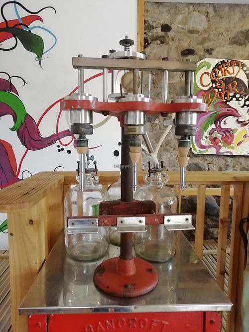 Wine tour at Cairn o'Mohr Winery in Errol