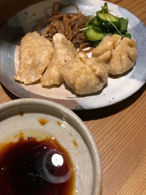 Vegan gyoza at Megumi in Osaka