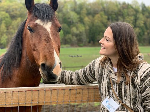 Saying hi to my equine friends  at Catskill Animal Sanctuary in Saugerties