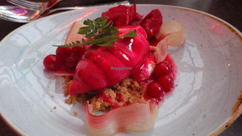 Raspberry sorbet, rhubarb, buckwheat and chervil at Vaxthuset in Stockholm