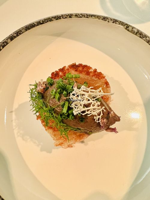  I think this was a potato cake type thing. It had truffle paste on top and crunchy, sweet lichen. at Vaxthuset in Stockholm