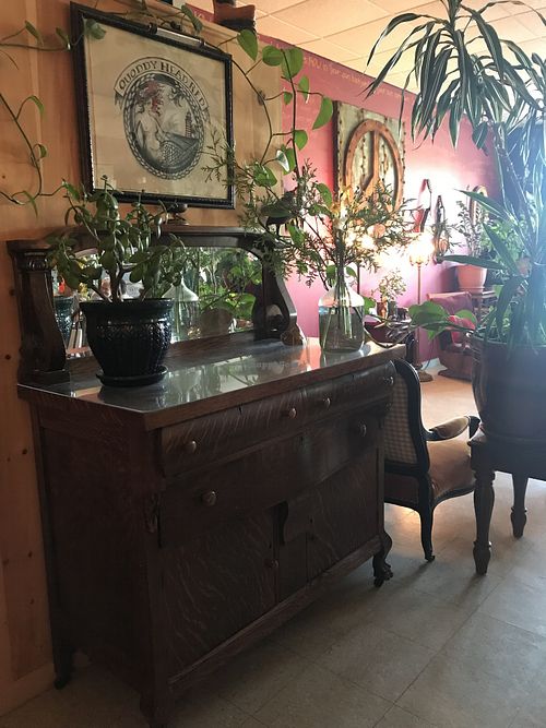 Plants at Lubec Brewing Company Tap Room in Lubec