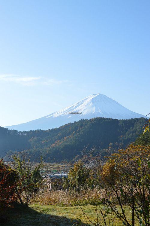 The view from our room at Sakuya Guesthouse in Fujikawaguchiko