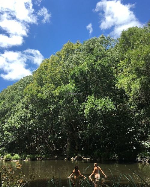 Paradise One is situated on 1.2km on private creek frontage, with multiple swimming holes. Welcome to Paradise :) at Paradise One Retreat in Coorabell
