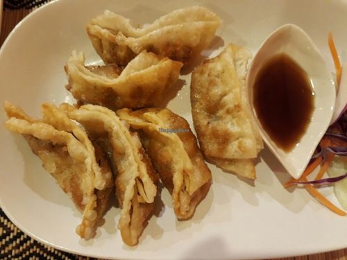Gyoza at Vegan Heaven in Chiang Mai