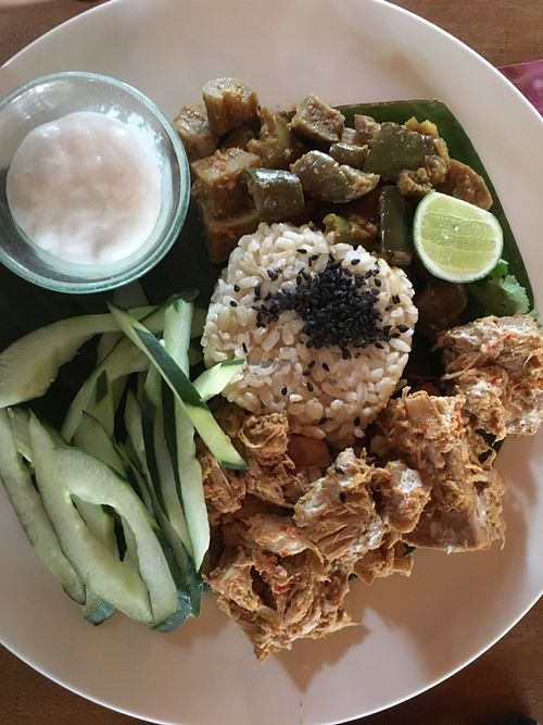 Malaysian jackfruit rendang with coconut yogurt and eggplant chutney (daily special) at Sayuri Healing Food in Ubud