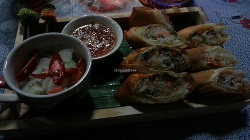 Spring rolls at Happy Veggie in Koh Lanta
