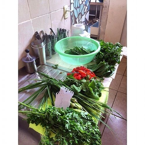 Gathered vegetables at Afropolitan Cafe in Puerto Viejo De Talamanca