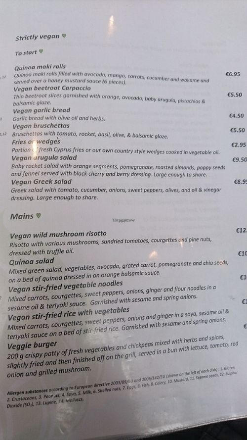 Vegan menu.  at 48 Bistro in Nicosia