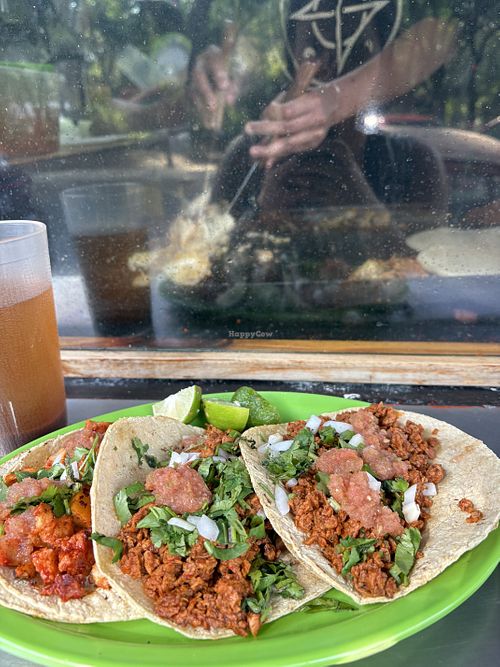 Lunch and a show 😉  at Veganisimo Loncheria in Mexico City