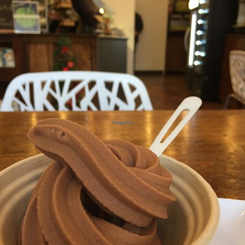 8 oz. chocolate soft serve   at PlantPure Cafe in Philadelphia