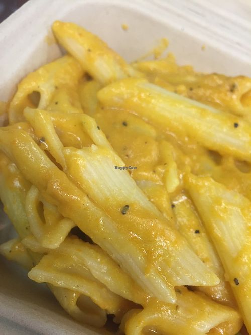 Vegan Mac n Cheese at Sanctuary Vegan Cafe in Knoxville