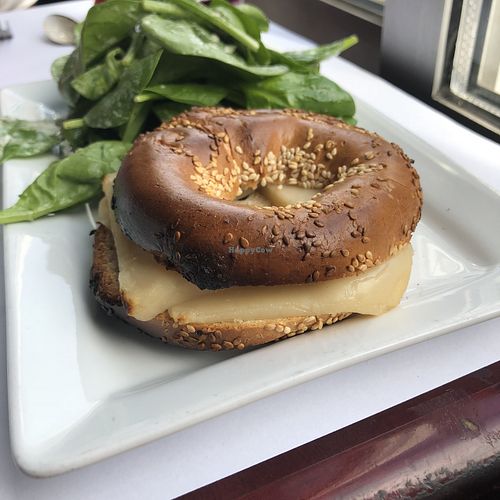 Bagel au cheddar at Vegano in Montreal