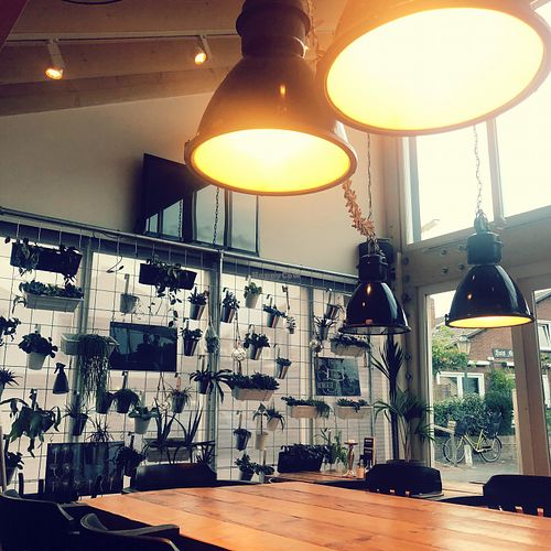 Interieur at Loods Lunge Restaurant in West-terschelling