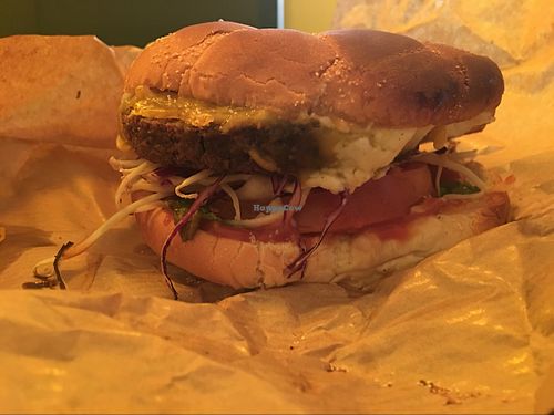 tease burger  at GreenBurger - Vesterbrogade in Copenhagen