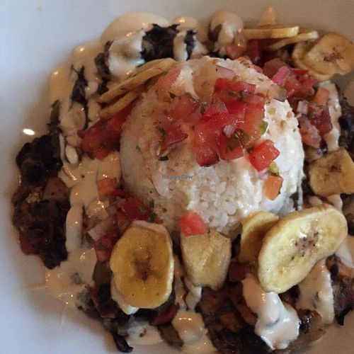 vegan Portuguese Stew with cashew sour cream at The Raven Bistro in Jasper