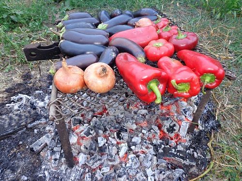 Grilled vegetables. at CostelHostel in Rosu