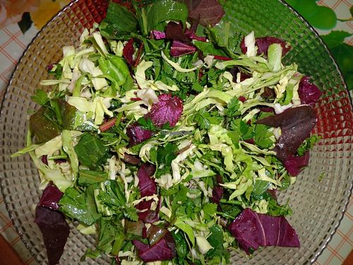 Salad, at CostelHostel in Rosu