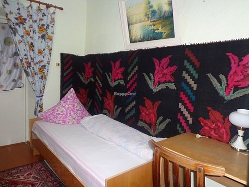 Single Room at CostelHostel in Rosu