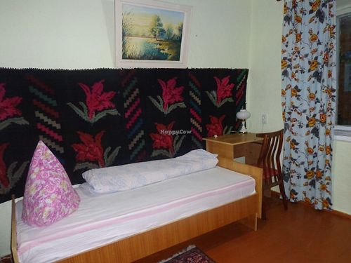Single Room at CostelHostel in Rosu
