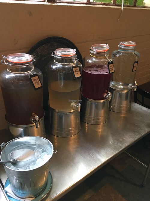 Daily iced tea “bar”  at Pharm Table in San Antonio