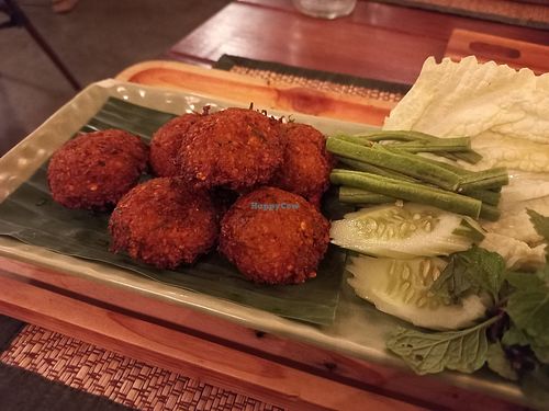 Falafel at Reform Kafe in Chiang Mai
