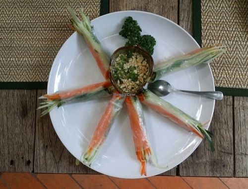 fresh spring rolls at Reform Kafe in Chiang Mai
