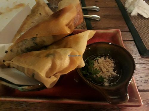 Deep Fried Spring Rolls at Reform Kafe in Chiang Mai