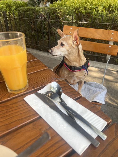  at Le Pain Quotidien - Polanco in Mexico City