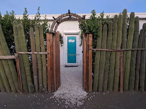 It's behind a big fence at Nourish Cafe at Island Yoga in Palm Beach