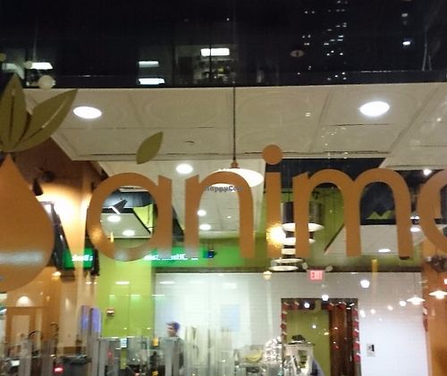 View from outside.  at Animo Juice Bar and Burrito Bar in Philadelphia