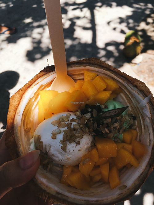  bowl 3 with both ice cream flavours at Coco Mama in Boracay