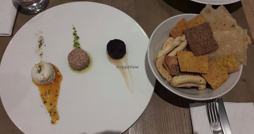 Cheese plate with crackers at Enoteca Radici in Bologna