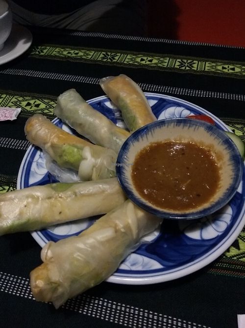 Veggie spring rolls at Cay Me - Tamarind Tree in Da Nang