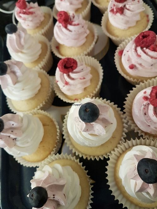 cupcakes at The Cake Collective in Moonee Ponds