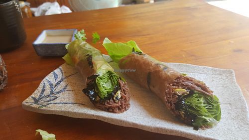 Fresh rolls at Thuc Duong Bao An - Bao An Macrobiotic in Da Nang
