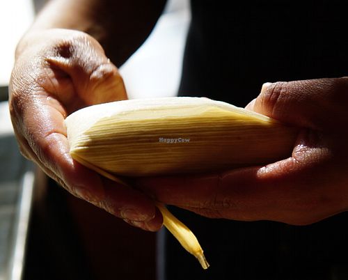Handmade tamales.  Vegan or vegetarian tamales, always gluten free, available every day. at Mi Mero Mole in Portland