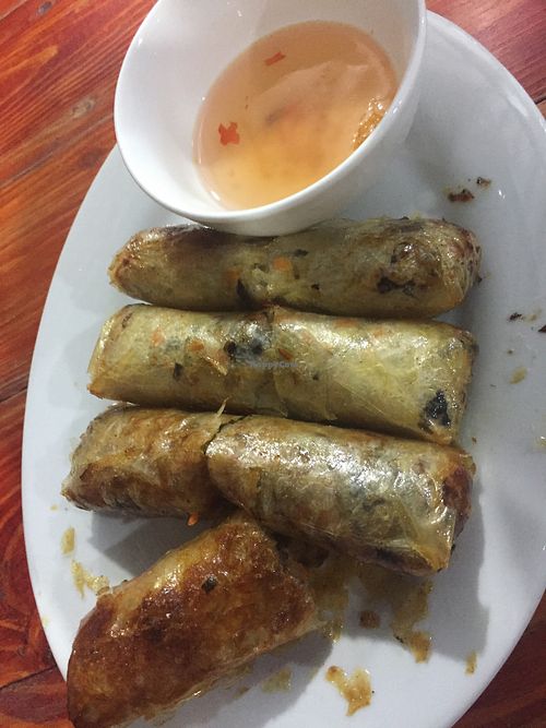 Fried veggie spring rolls with soy dip at Yummy Restaurant in Cat Ba